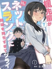 双生拼图 漫画改编推理海报